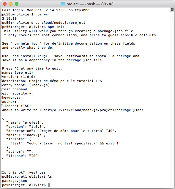 Interface de configuration npm init